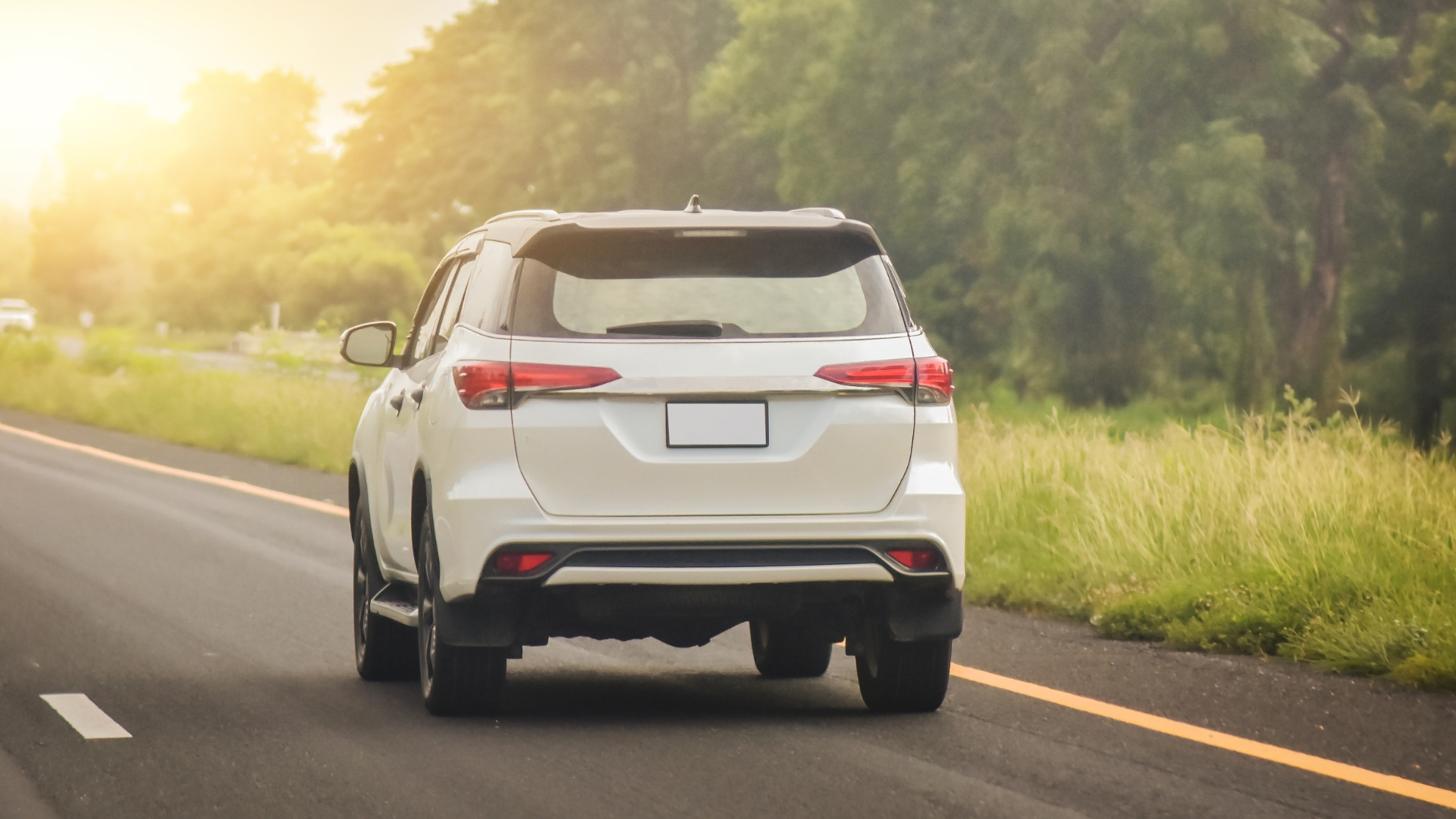 Bug Residue After a Carolina Highway Drive: